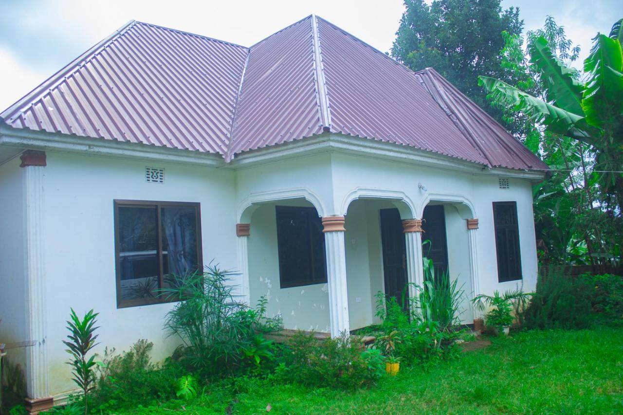 Bed and Breakfast New Dream House à Arusha Extérieur photo